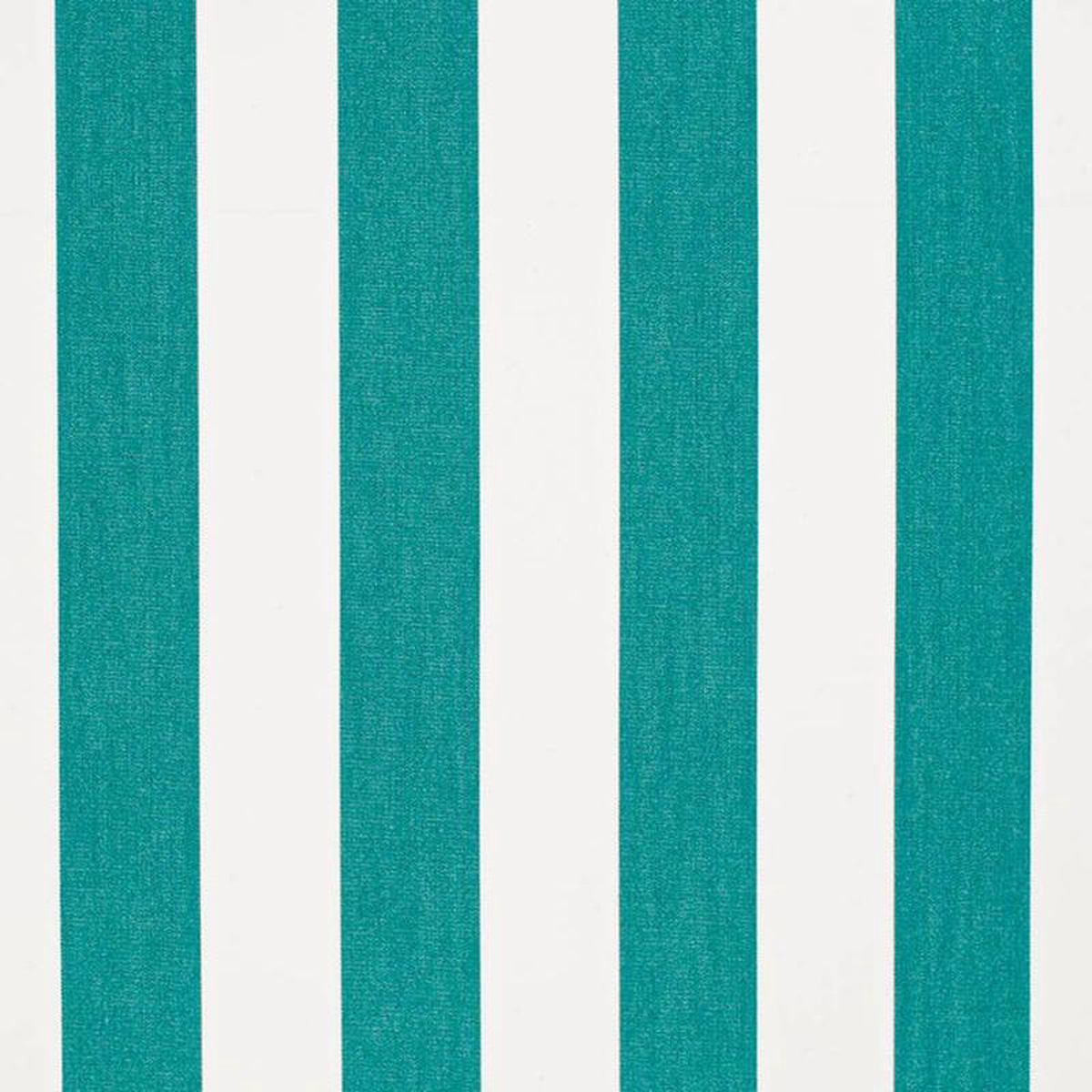 D3490 by Charlotte Fabric