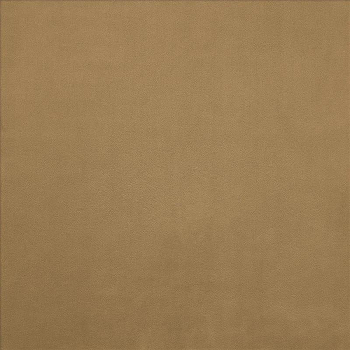 Knockout Ginger by Kasmir Fabric