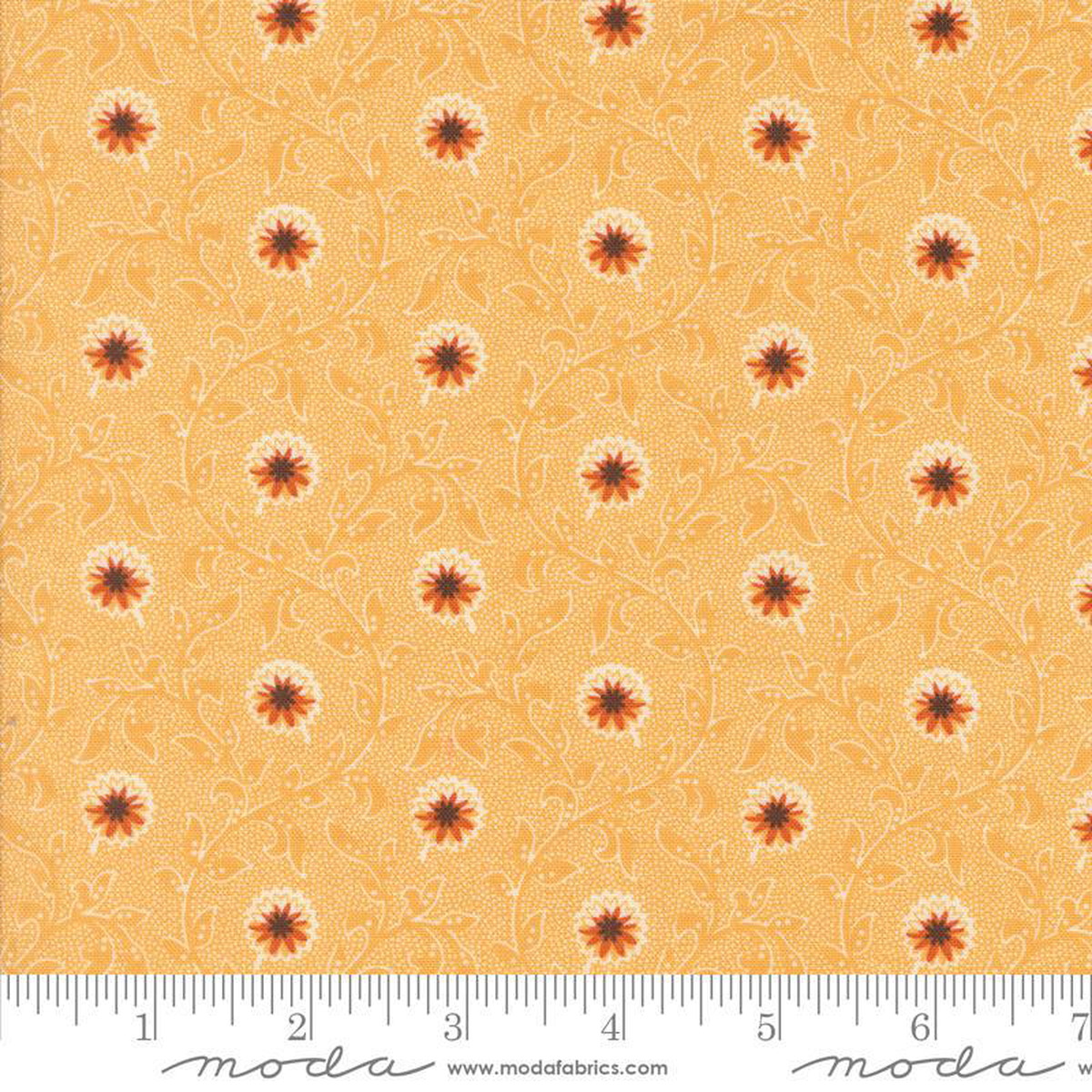 Pumpkin Spice Gatherings Moon Beam 49290-16