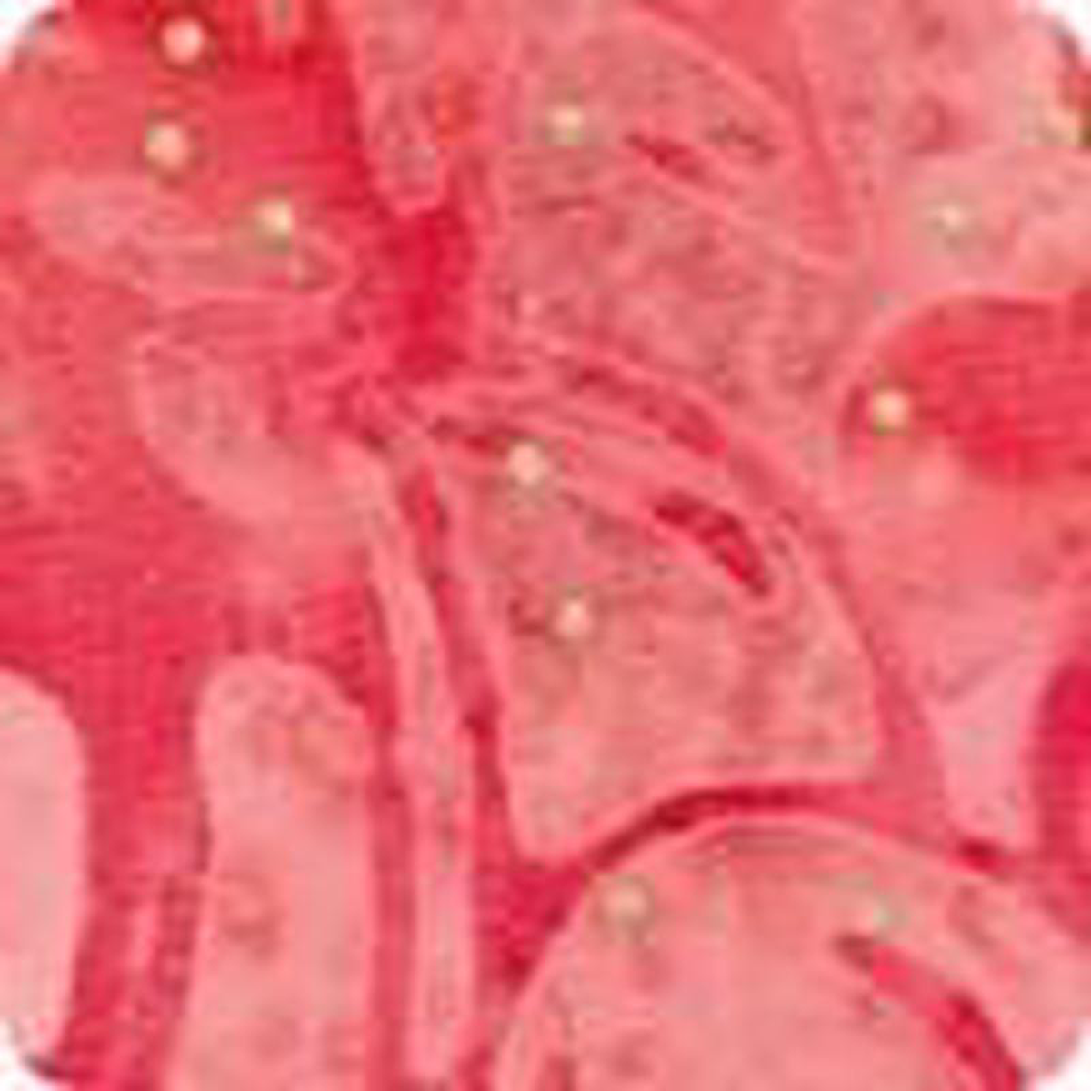 Robert Kaufman Joyful Holidays AMDM-22641-96 Blush