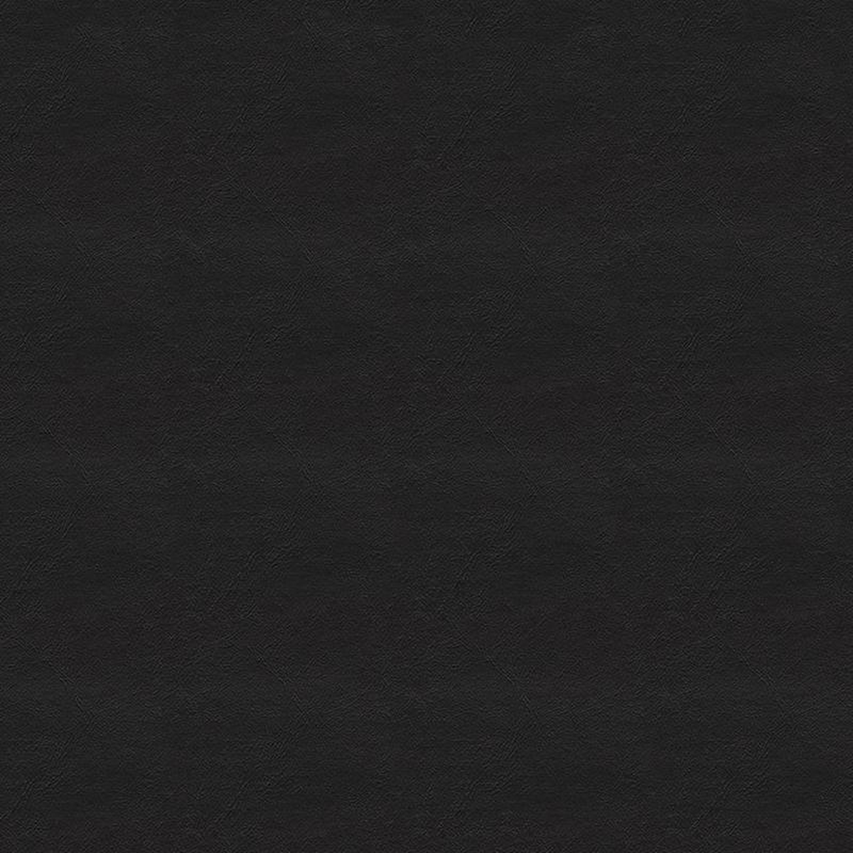 Chamea II 18 Black by Naugahyde Fabric