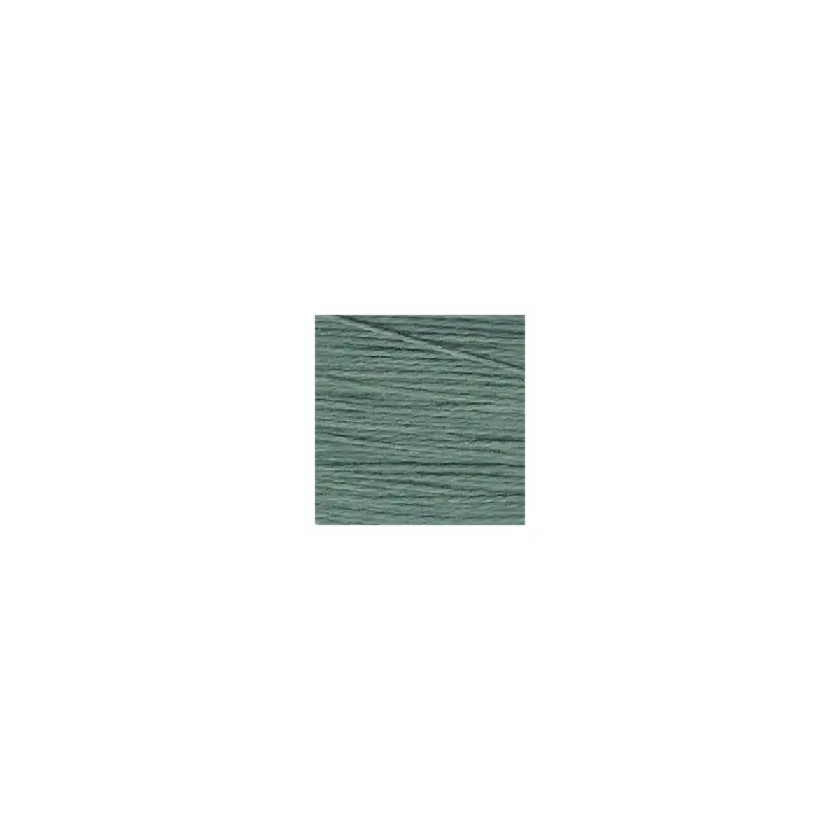 Planet Earth Milan 8211 1687 Kelp
