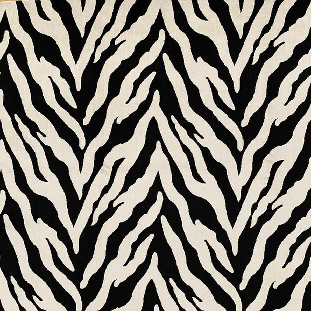 Escape Zebra by Magnolia Fabric