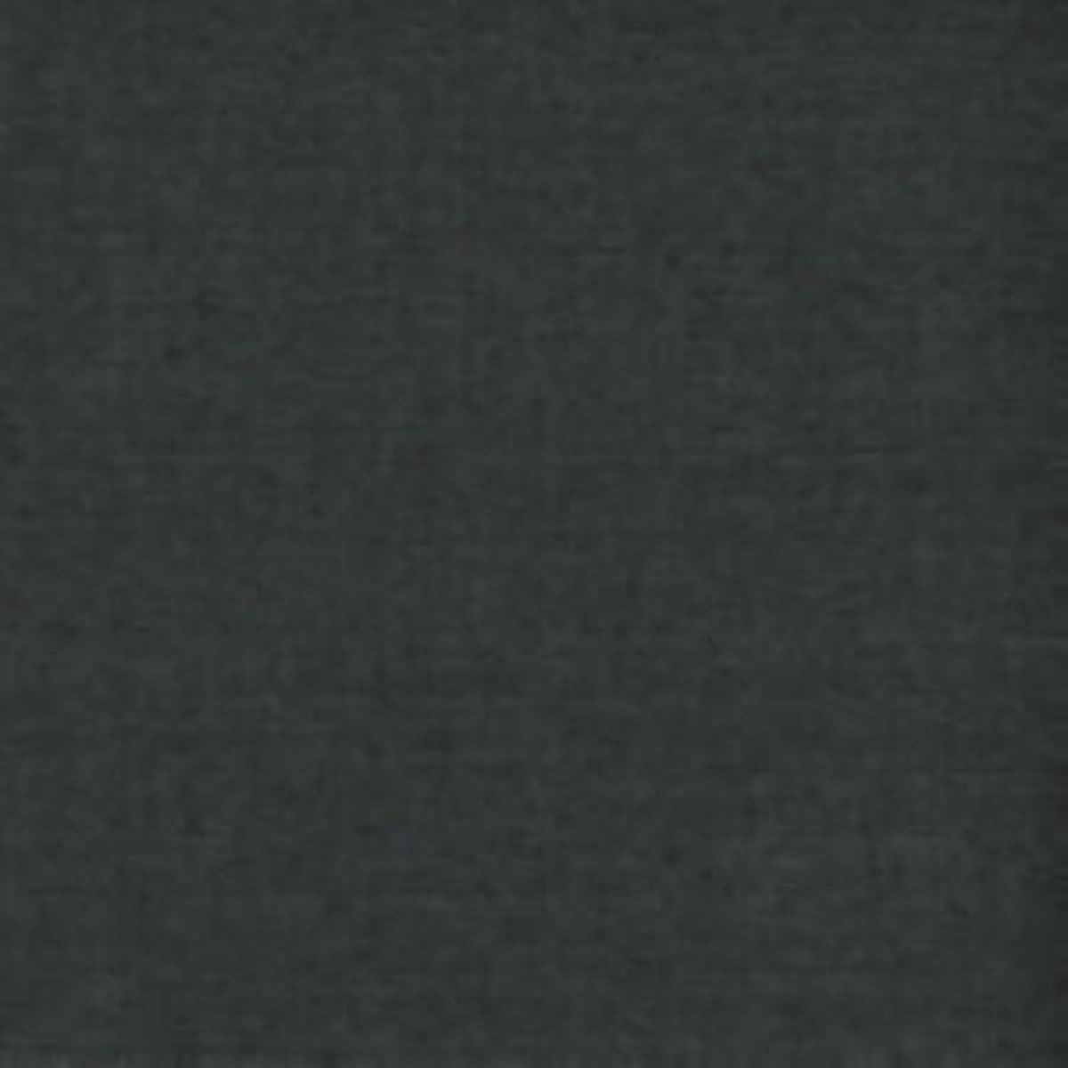Sylvia Carbon by Norbar Fabric
