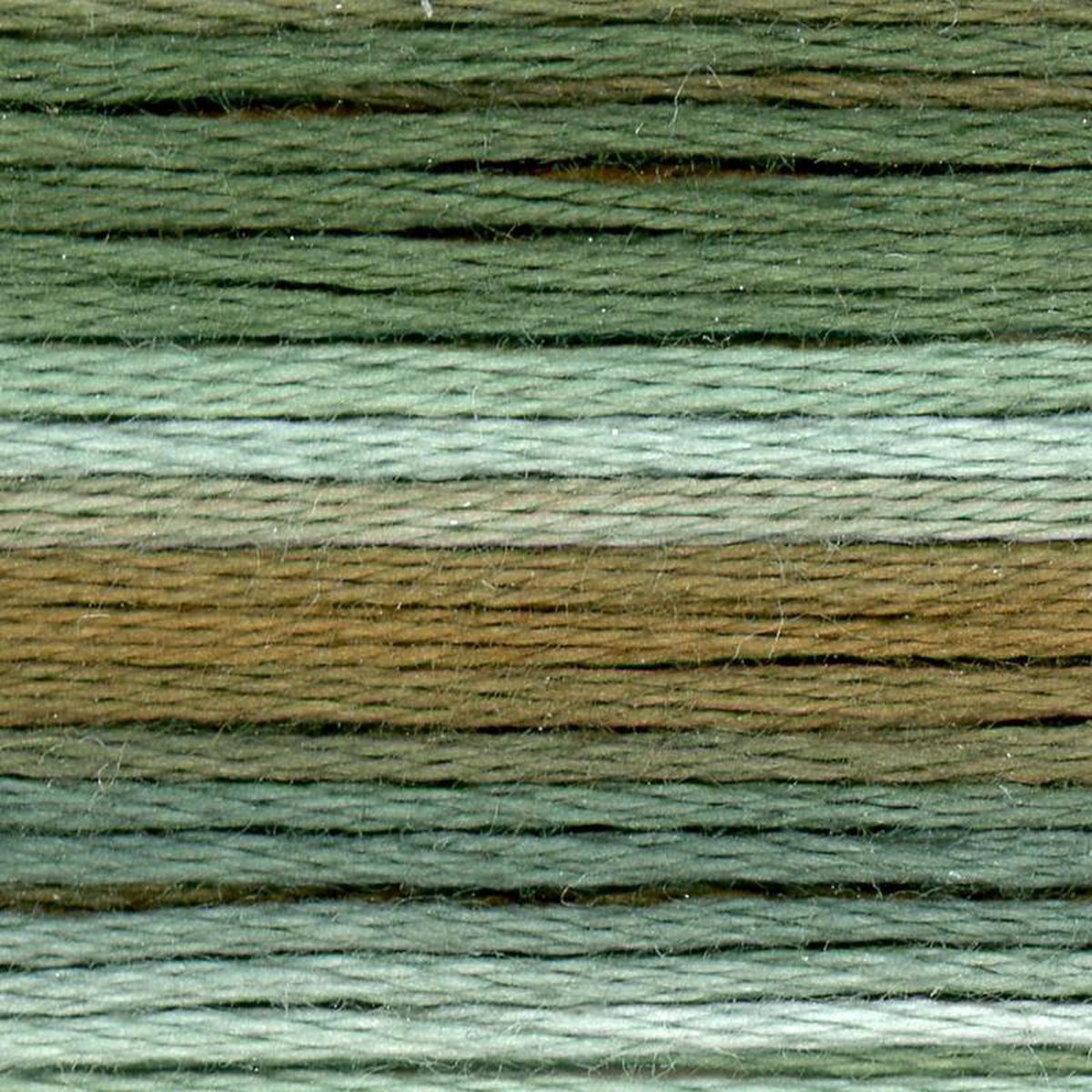 Cosmo 8050
