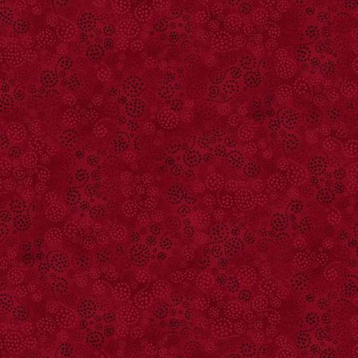 Sparkles 1088243 wide Back 2089-339