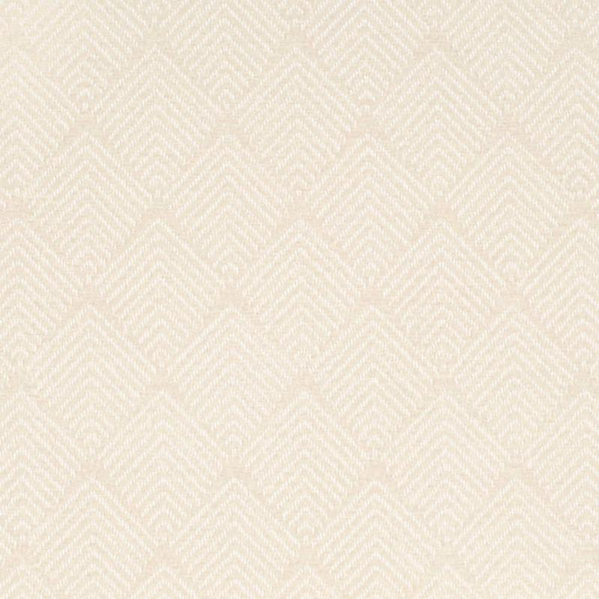 CB800-479 by Charlotte Fabric