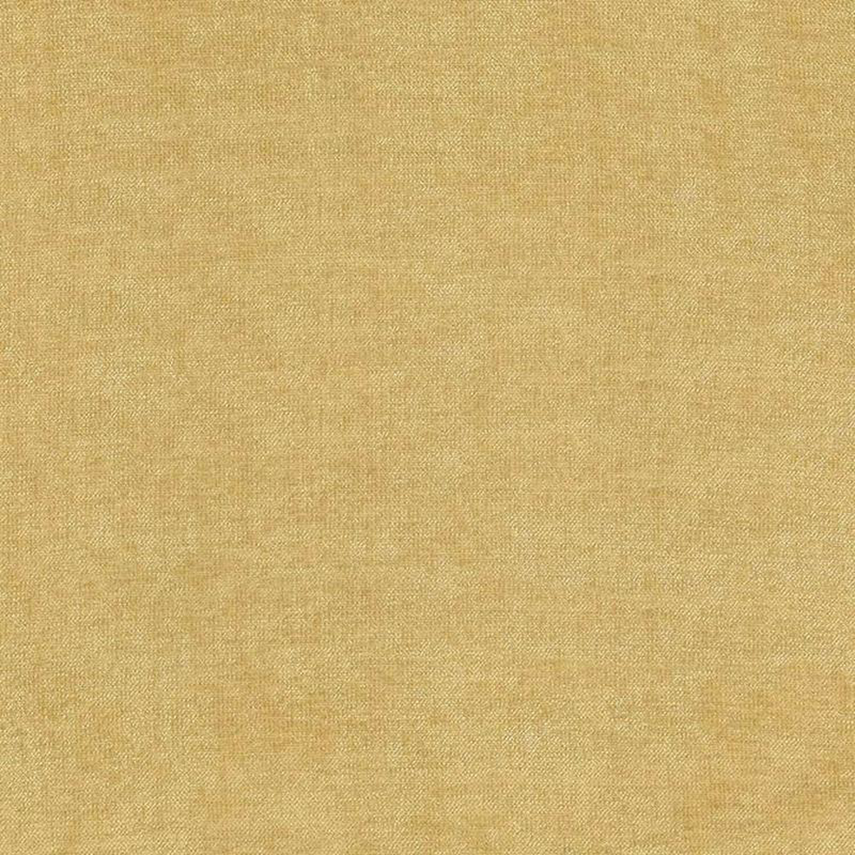 Vestige Honey by Kasmir Fabric