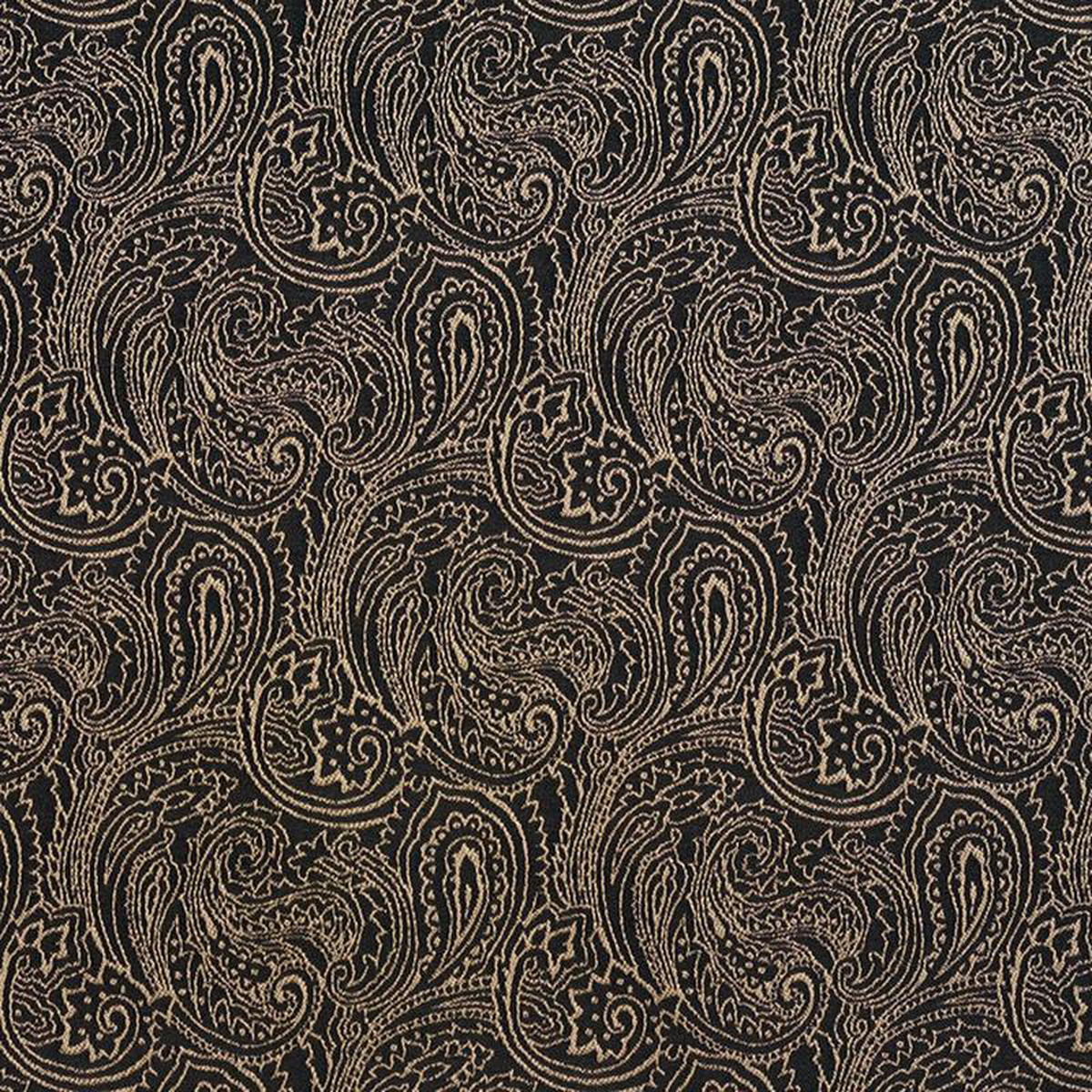 2633 OnyxPaisley by Charlotte Fabric