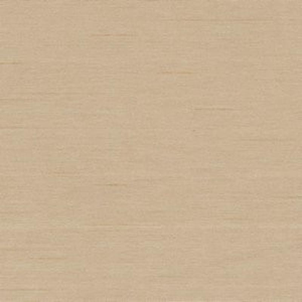 Cargo Camel by Norbar Fabric