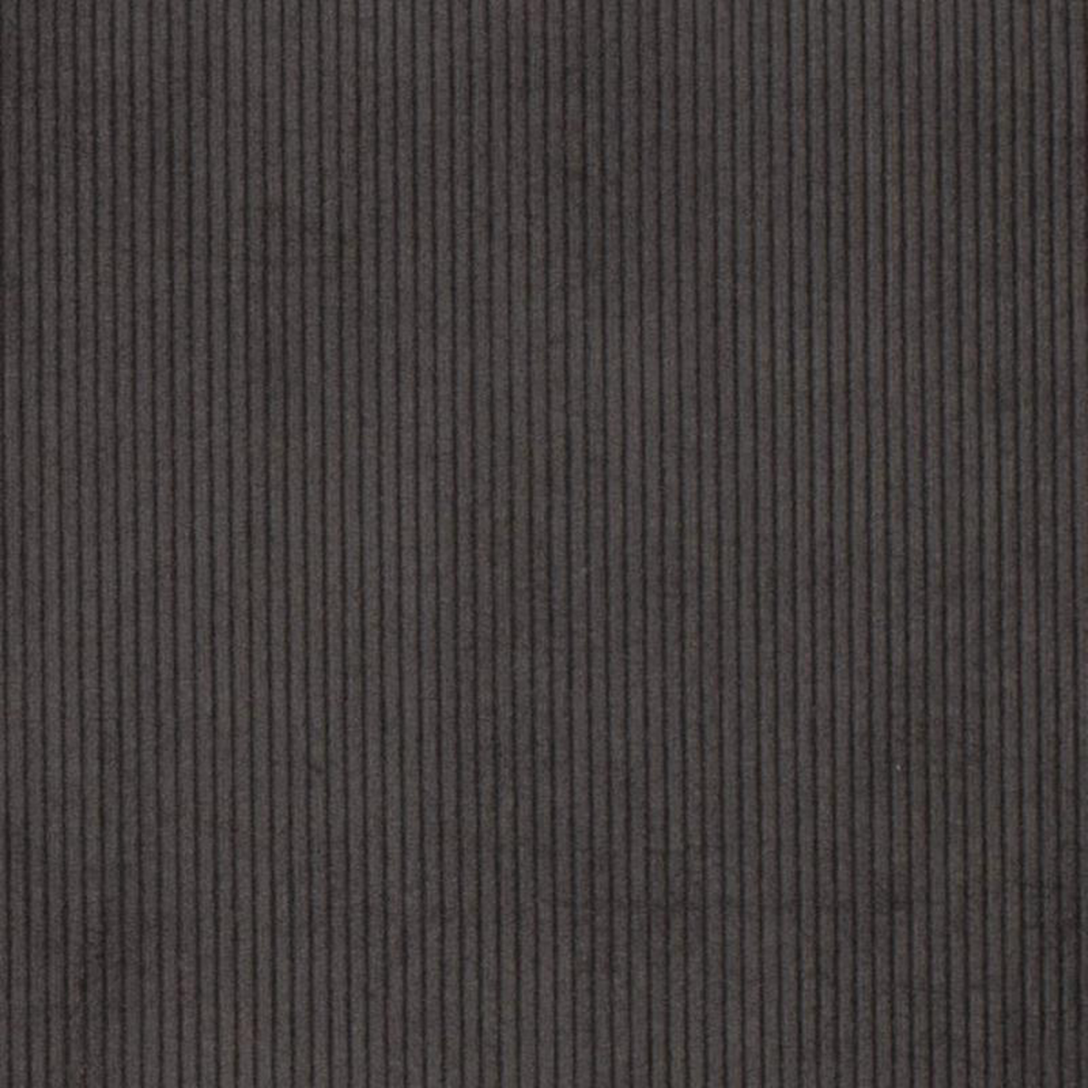 D3875 by Charlotte Fabric