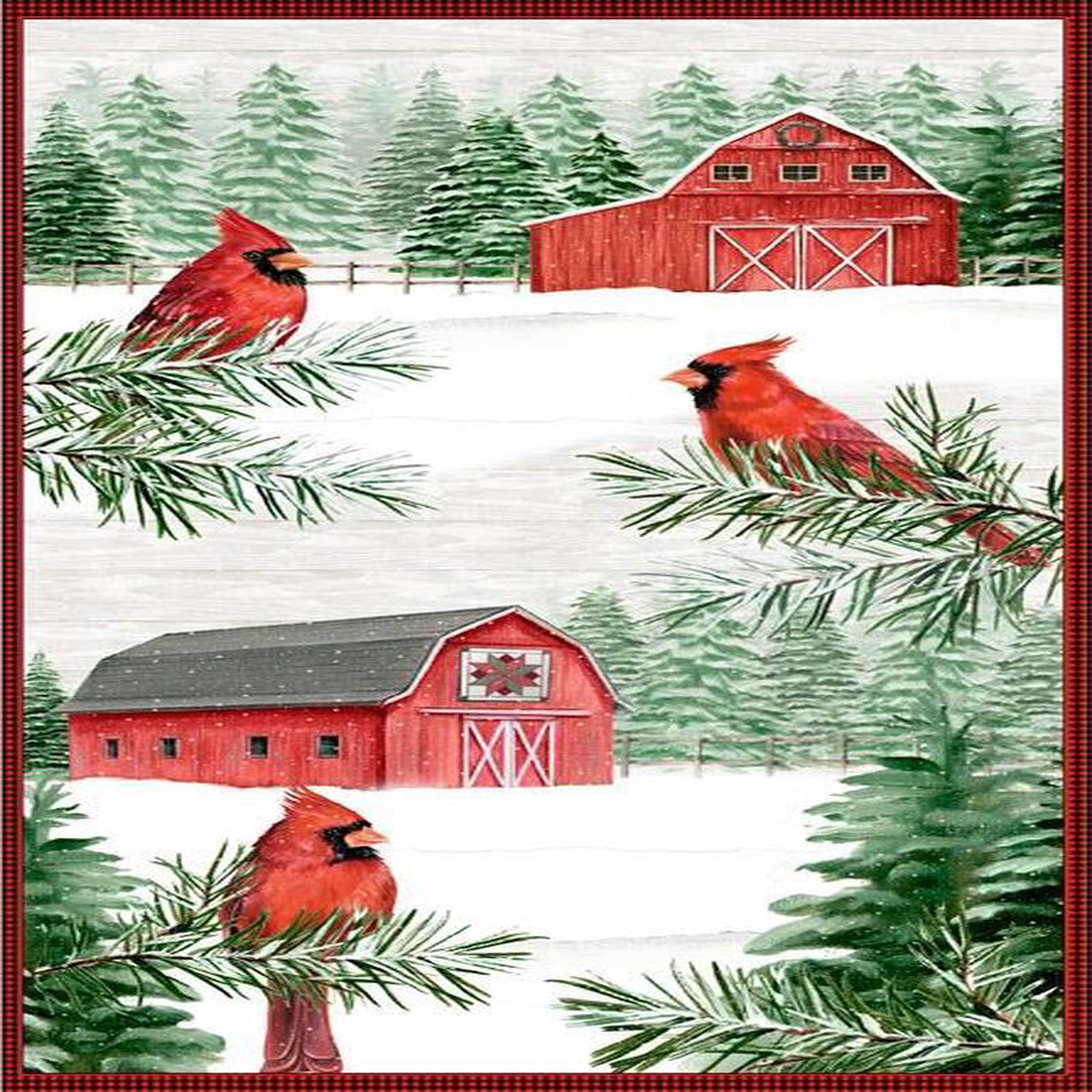 Country Cardinals 20051-137