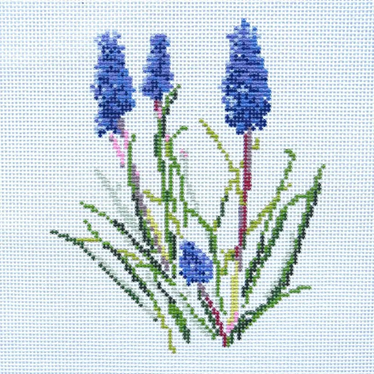 Alice 038 Blue Grape Hyacinth Needlepoint Canvas