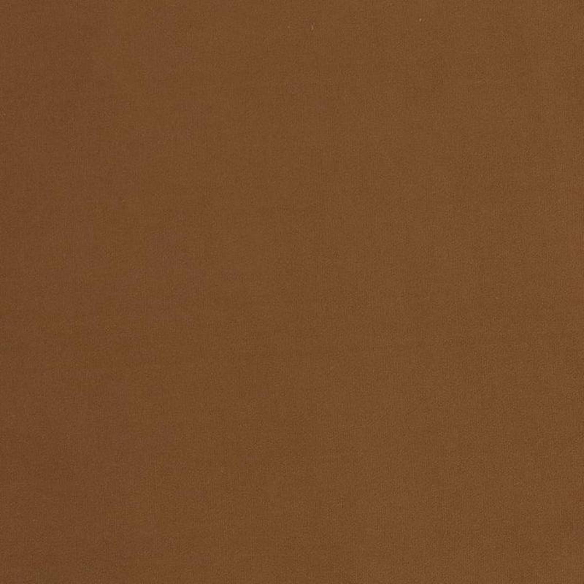 D2114 Nutmeg by Charlotte Fabric