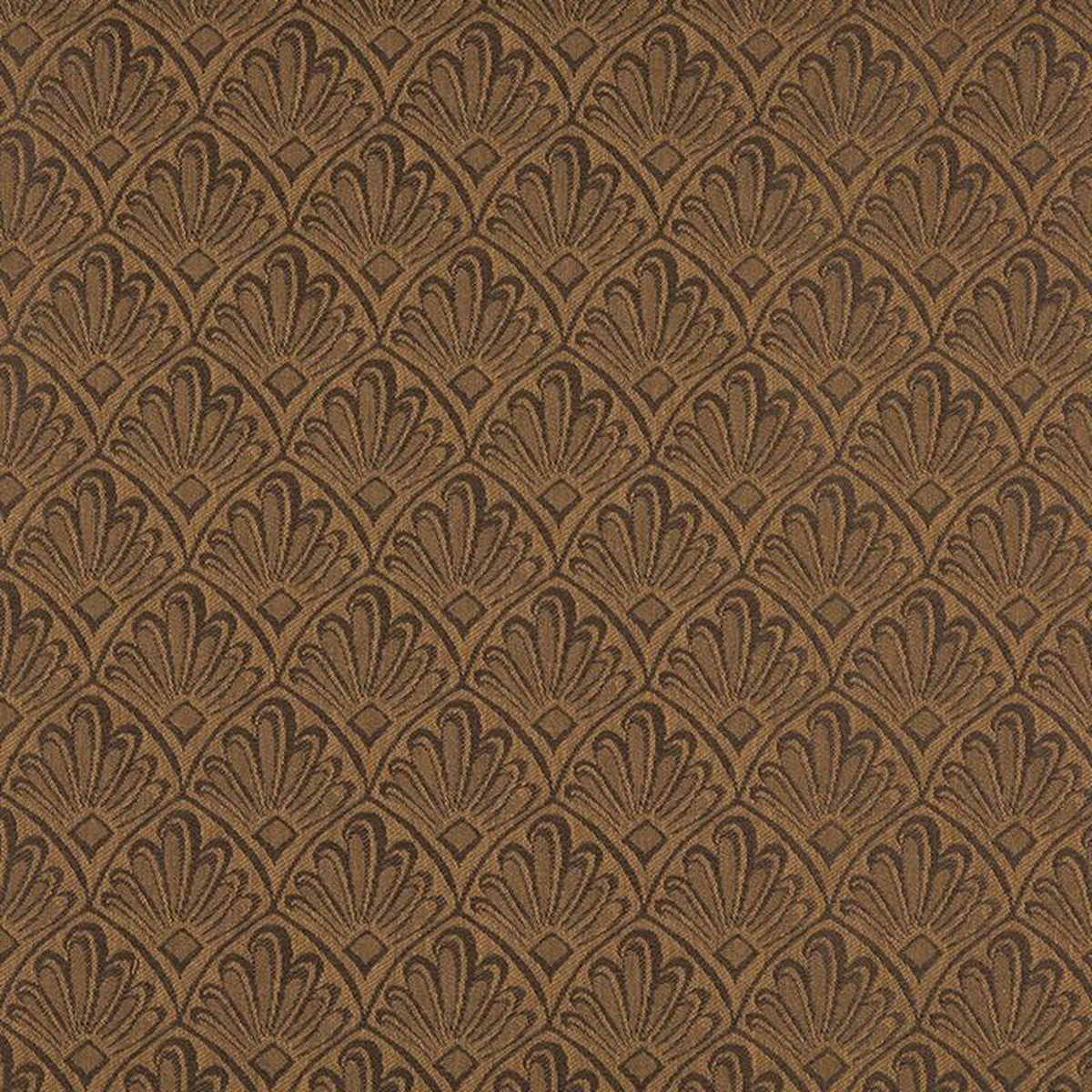 1124 Cocoa Fan by Charlotte Fabric