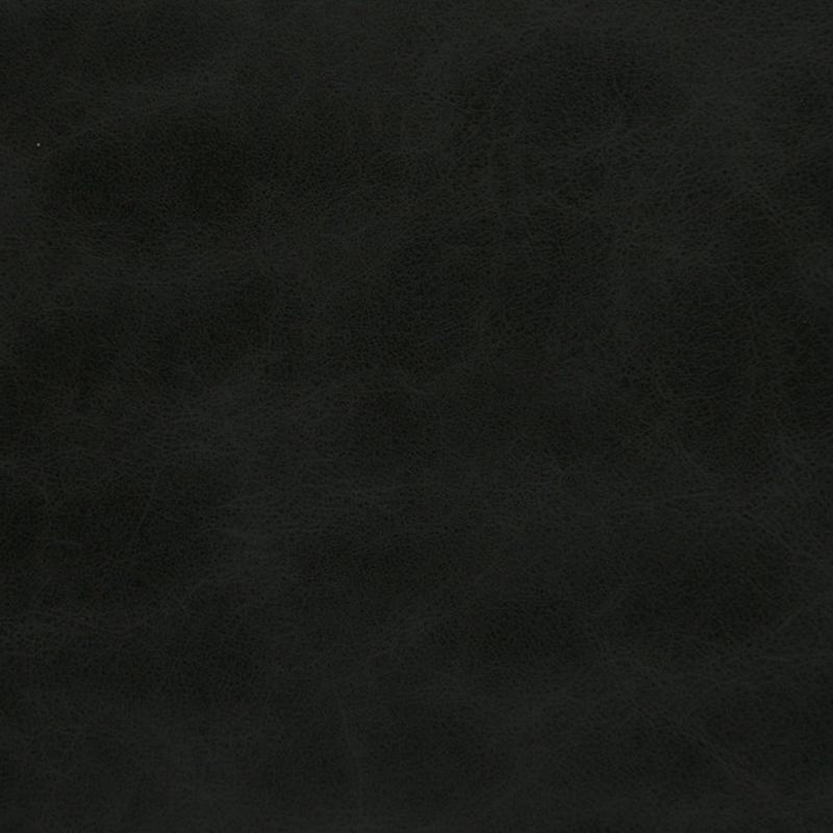 V206 Warm Black by Charlotte Fabric