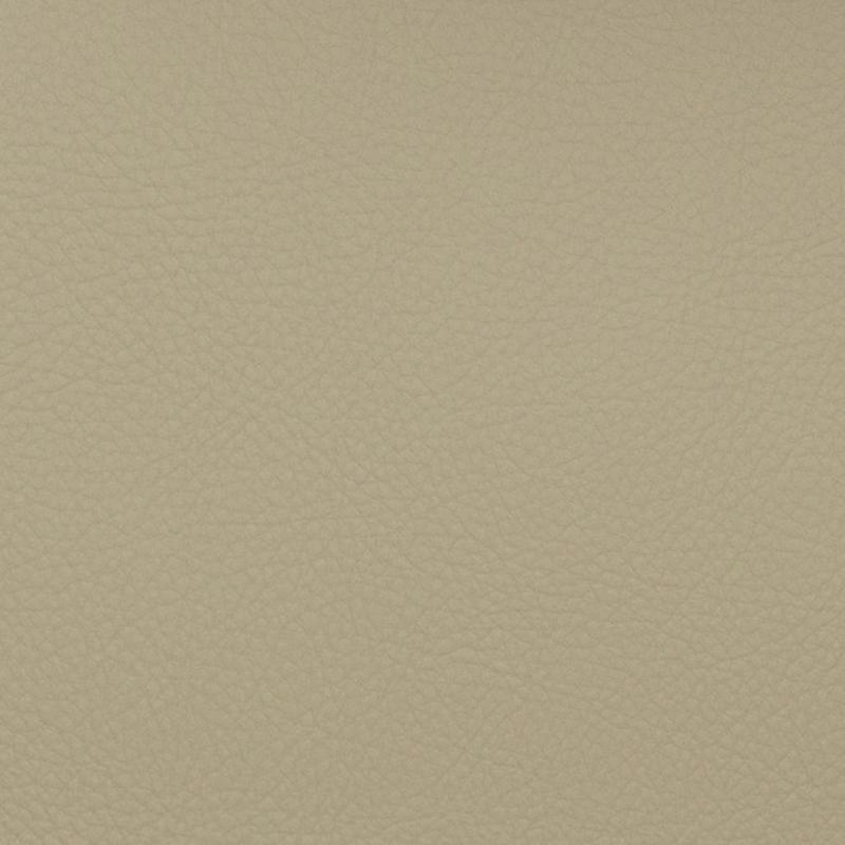 Voyager Mushroom by Magnolia Fabric