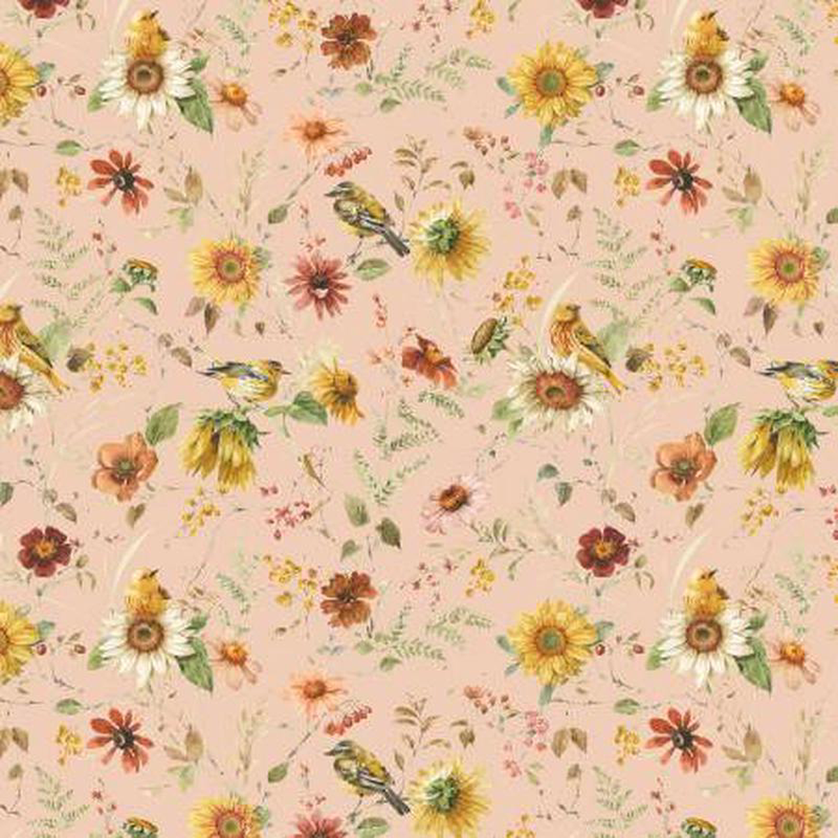 Sunflower Whispers CD16671-Blush Prairie Blush