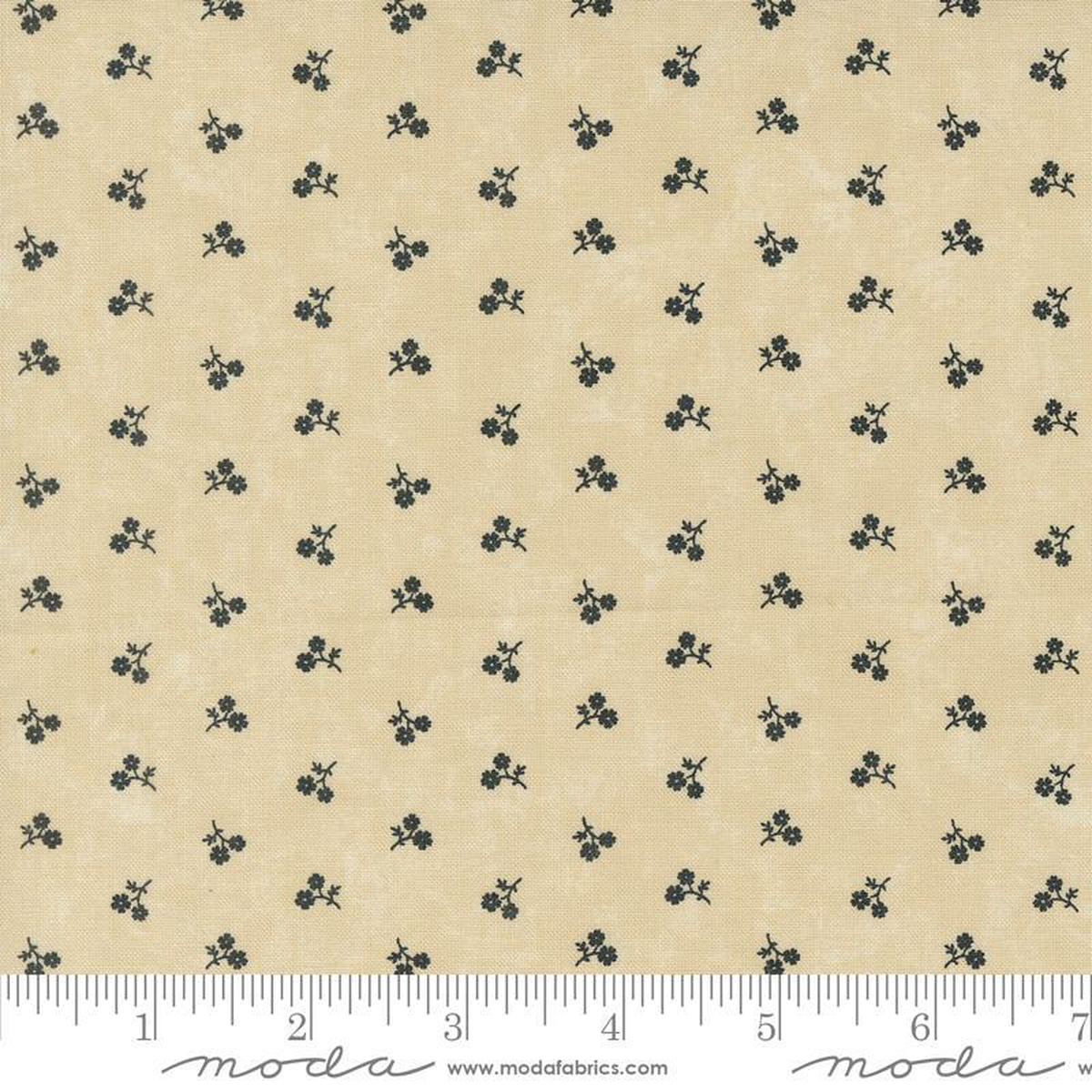 Blackbirds Nest Tan 9755-11
