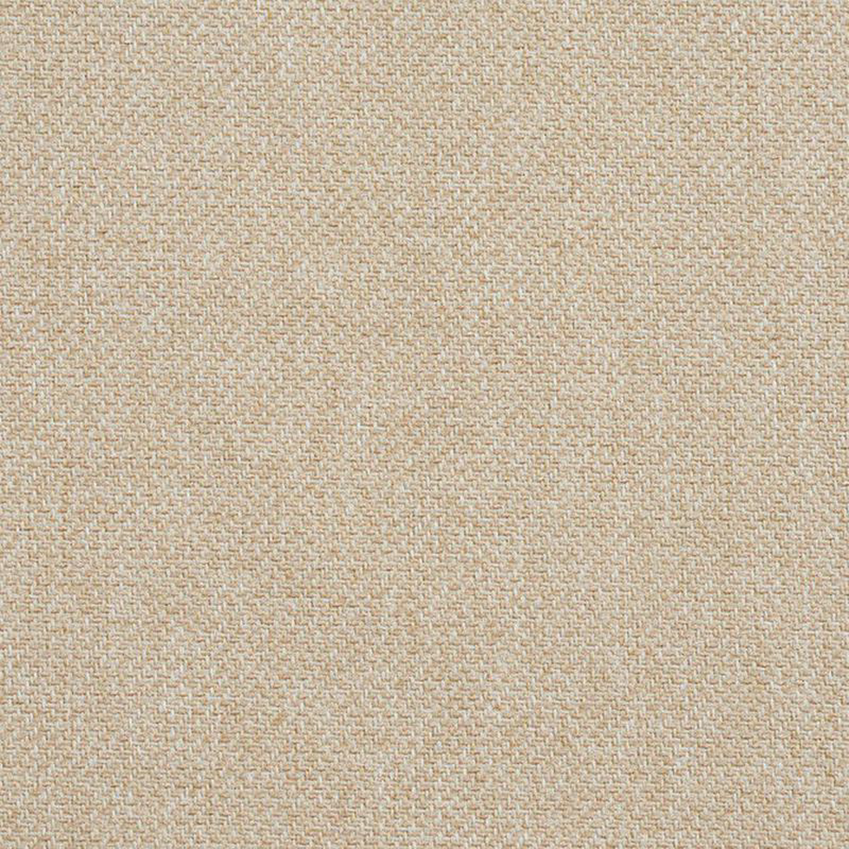 Cb600-02 by Charlotte Fabric