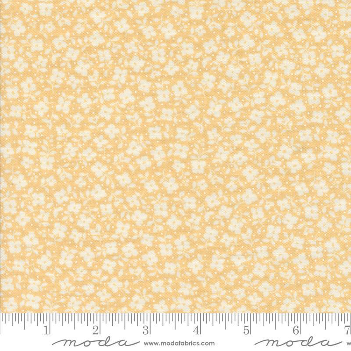 Dainty Meadow Buttercup 31745-14