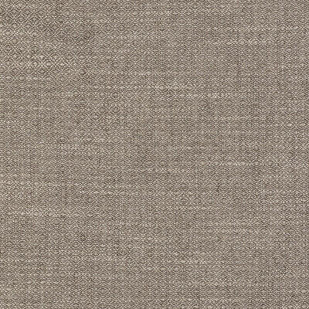 GDT55170010 by Gaston Y Daniela Fabric
