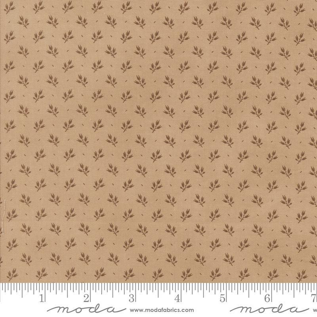 Pumpkin Spice Gatherings Khaki 49292-14