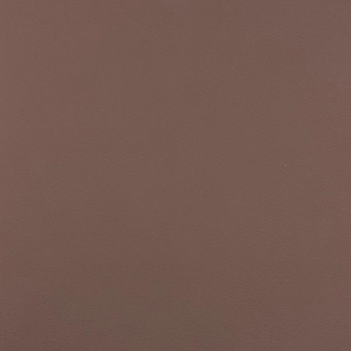 Quest Latte by Magnolia Fabric