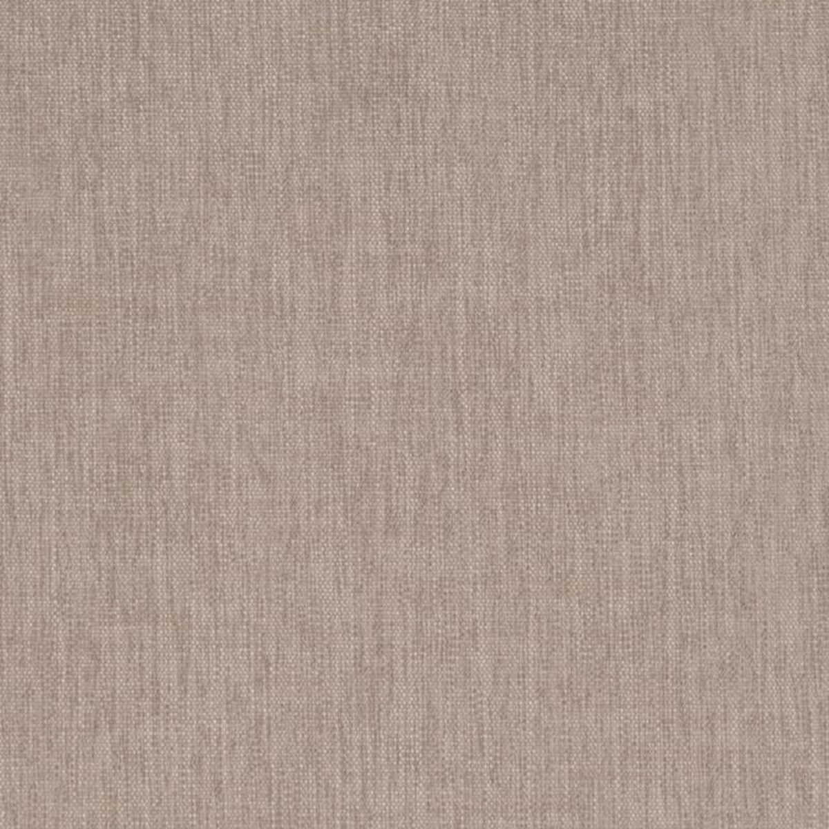 D4226 Hemp by Charlotte Fabric