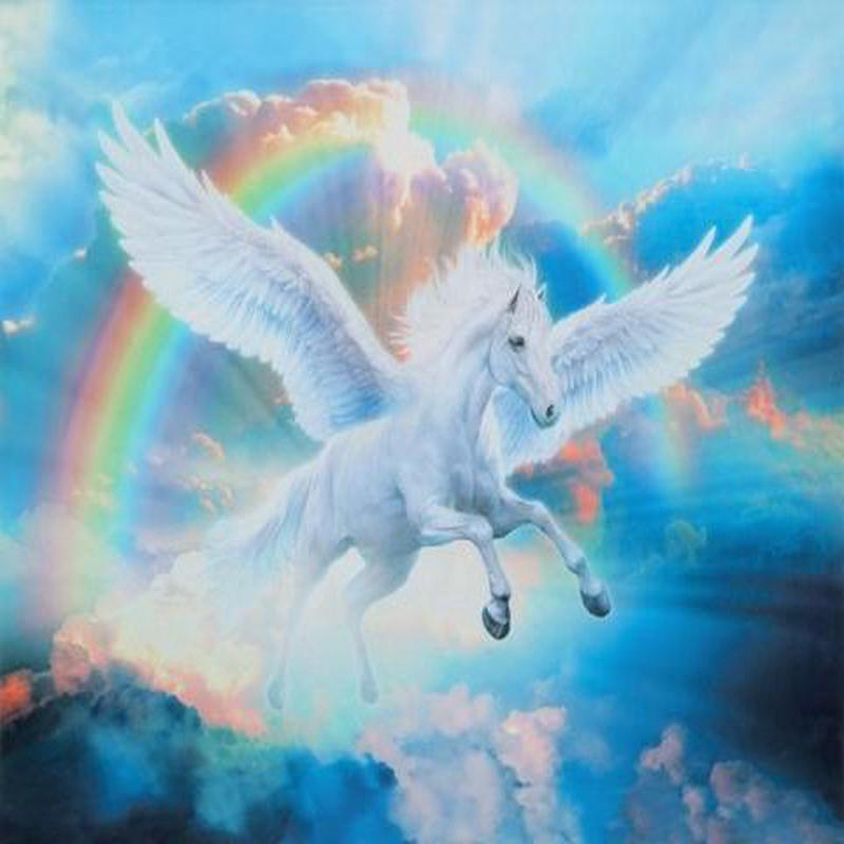 Picture This 17322-263