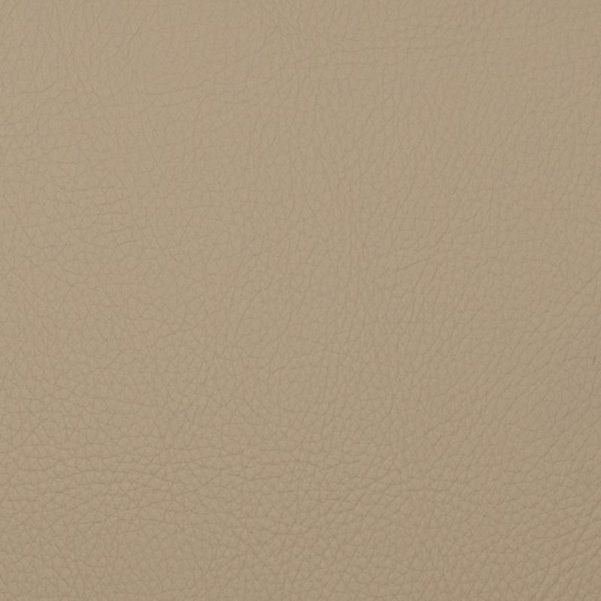 Voyager Pebble by Magnolia Fabric