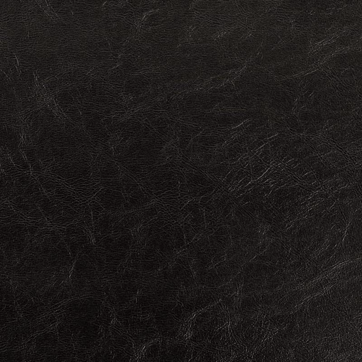 V942 Raven by Charlotte Fabric