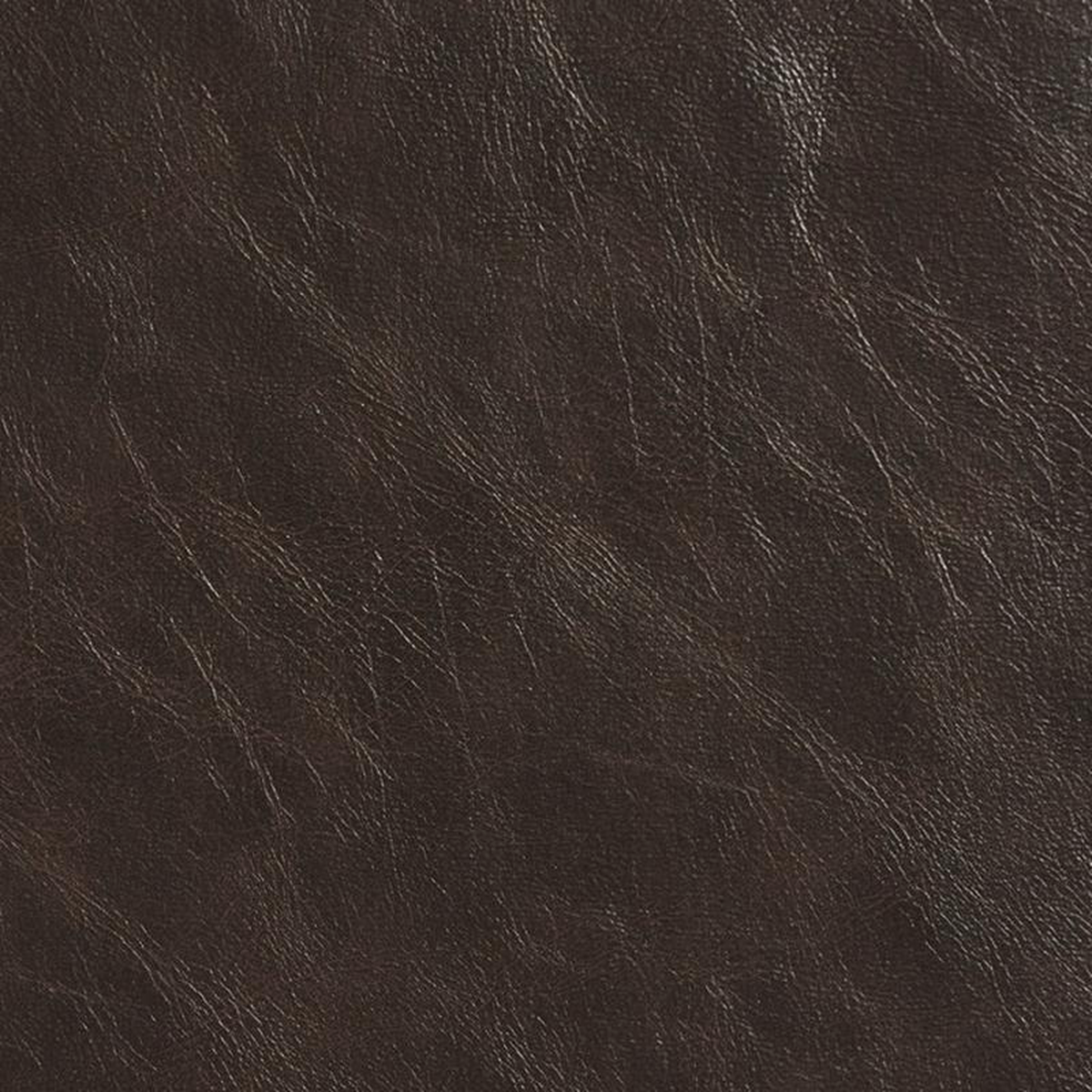 7405 Chestnut by Charlotte Fabric