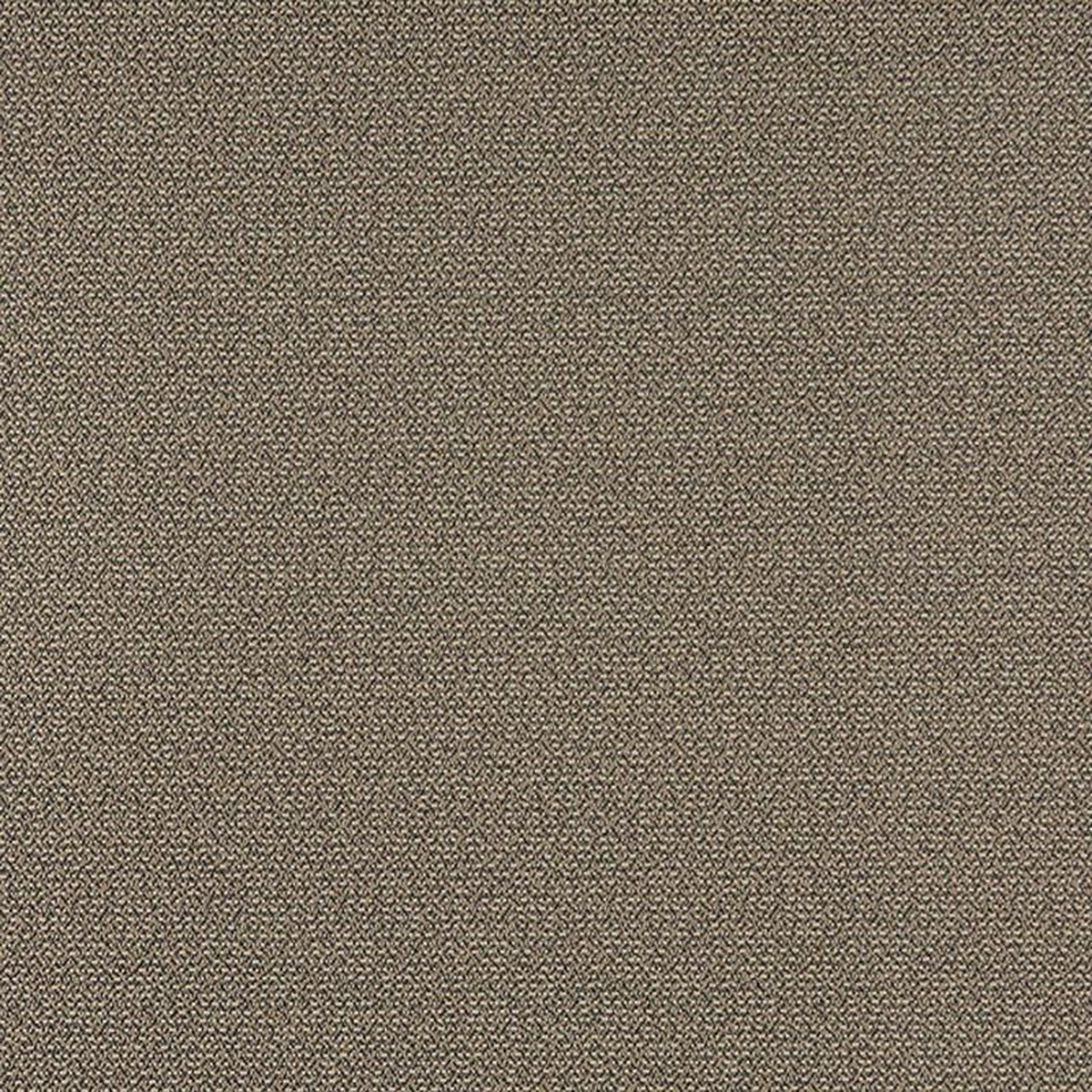 3820 Pebble by Charlotte Fabric