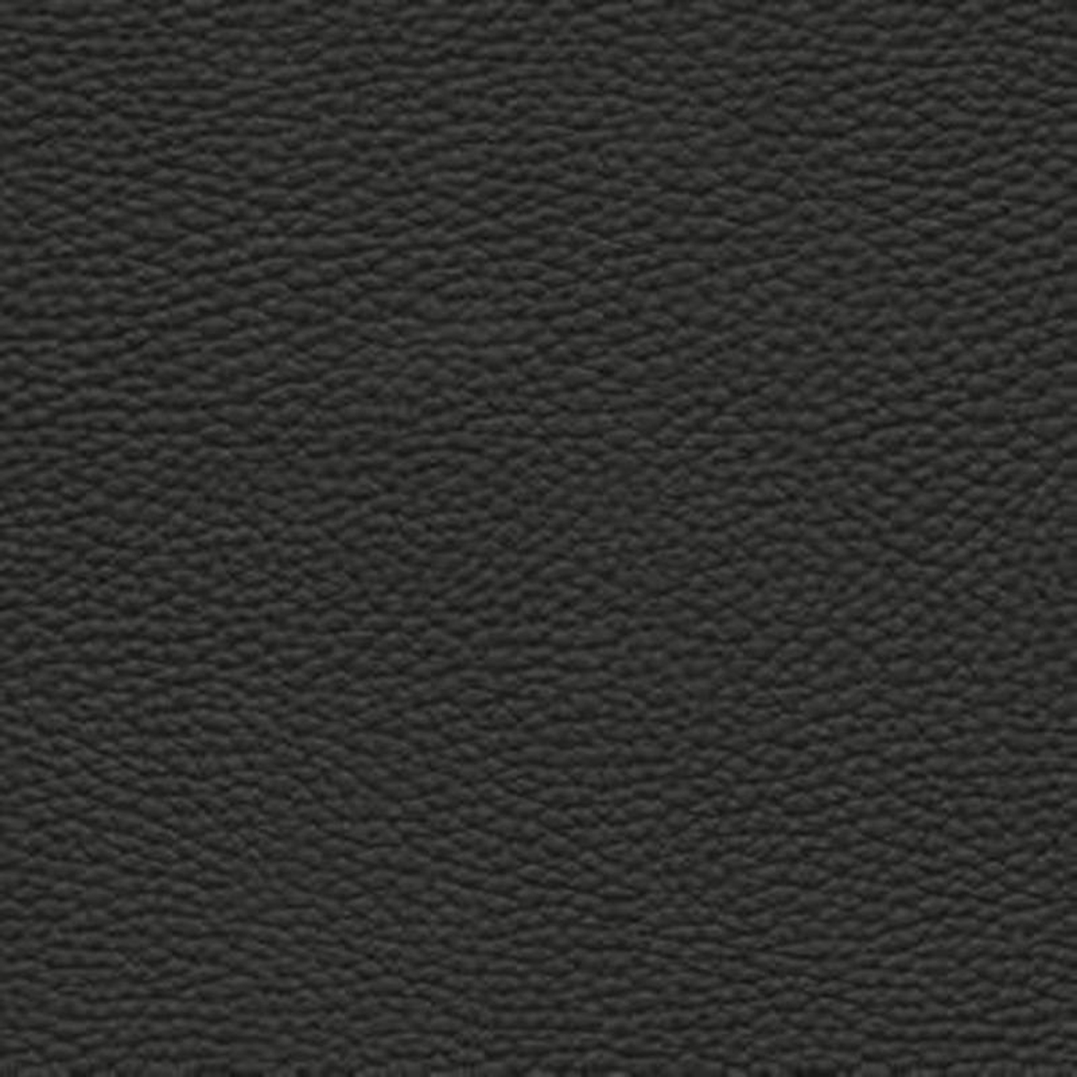 Asbury Black by Norbar Fabric