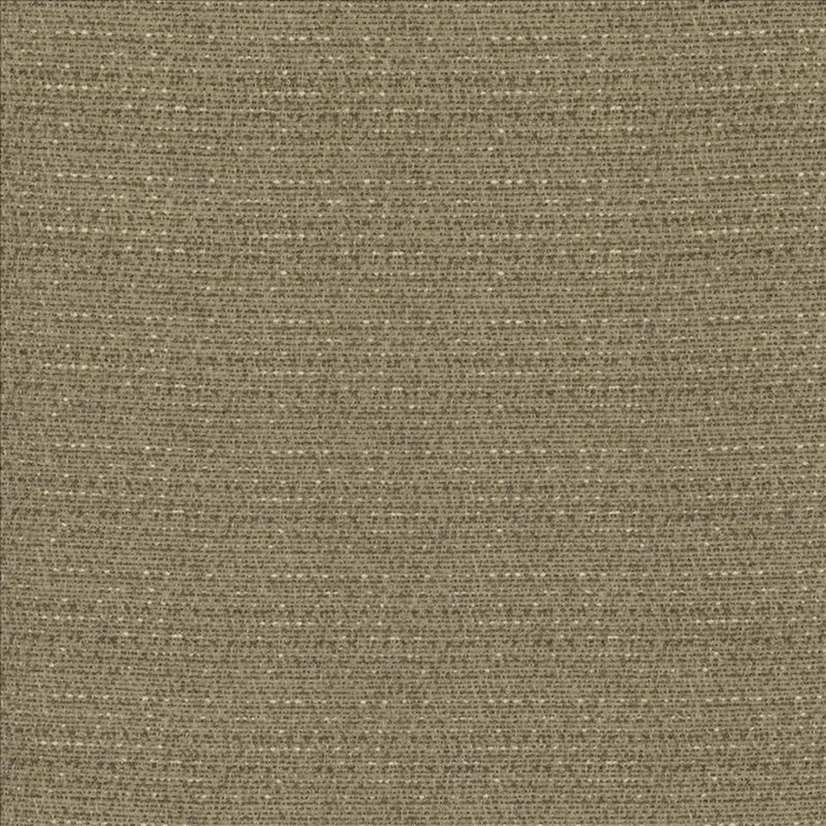 Averly Linen by Kasmir Fabric