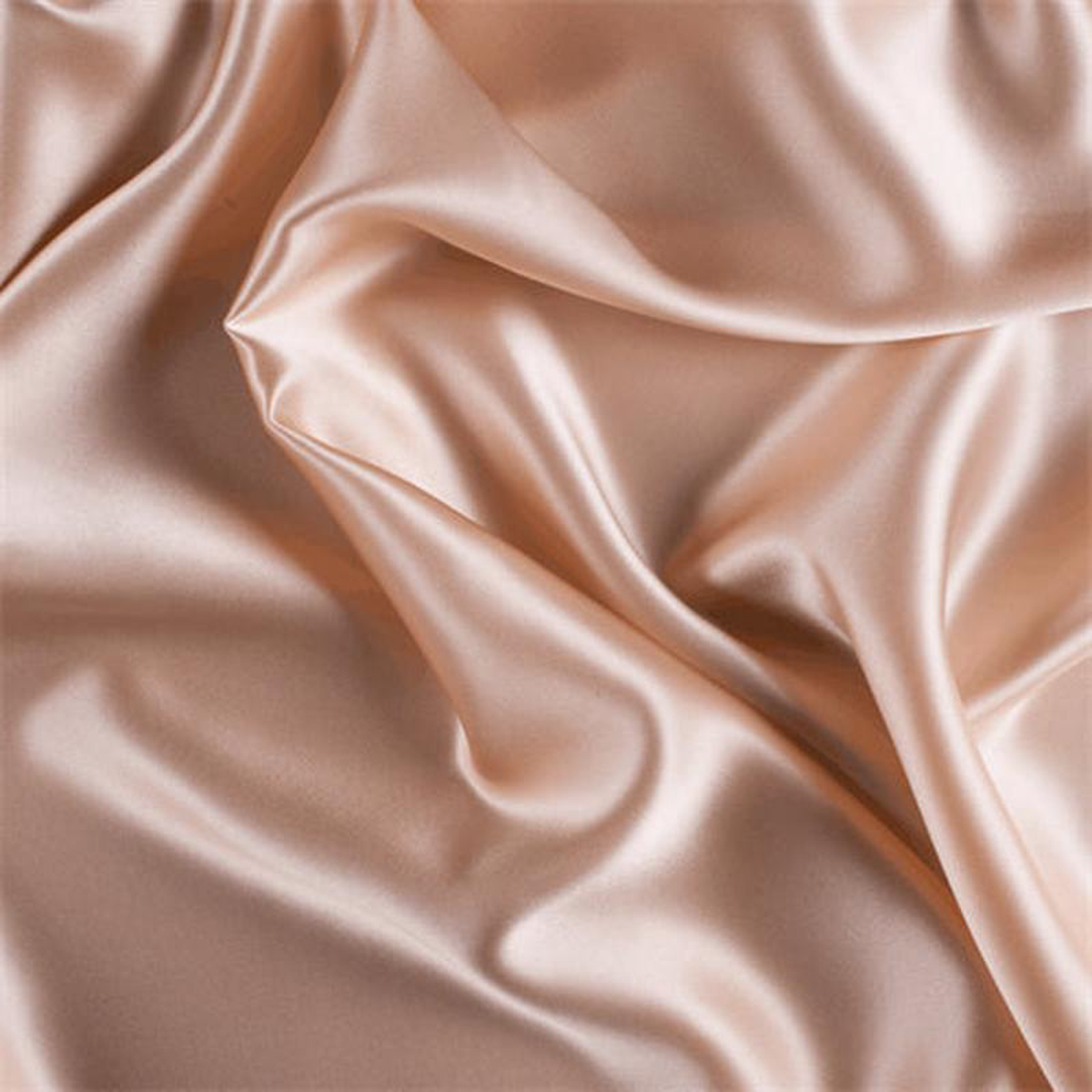 Runway Silks Bisque Silk Charmeuse Fabric 8211 Reorderable