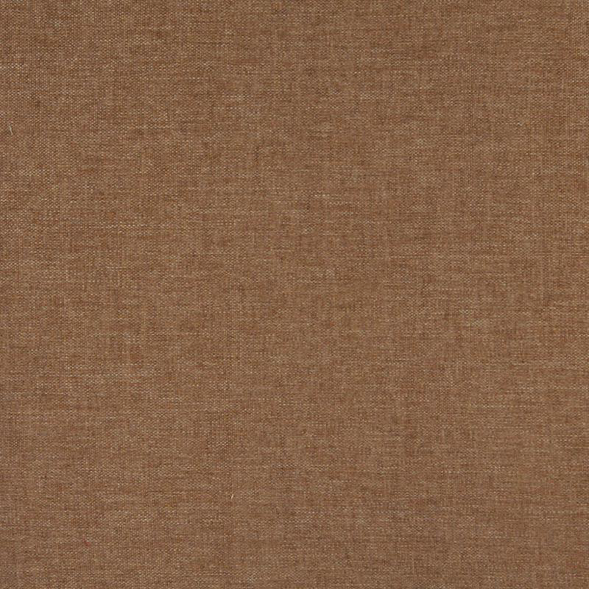 3686 Camel by Charlotte Fabric