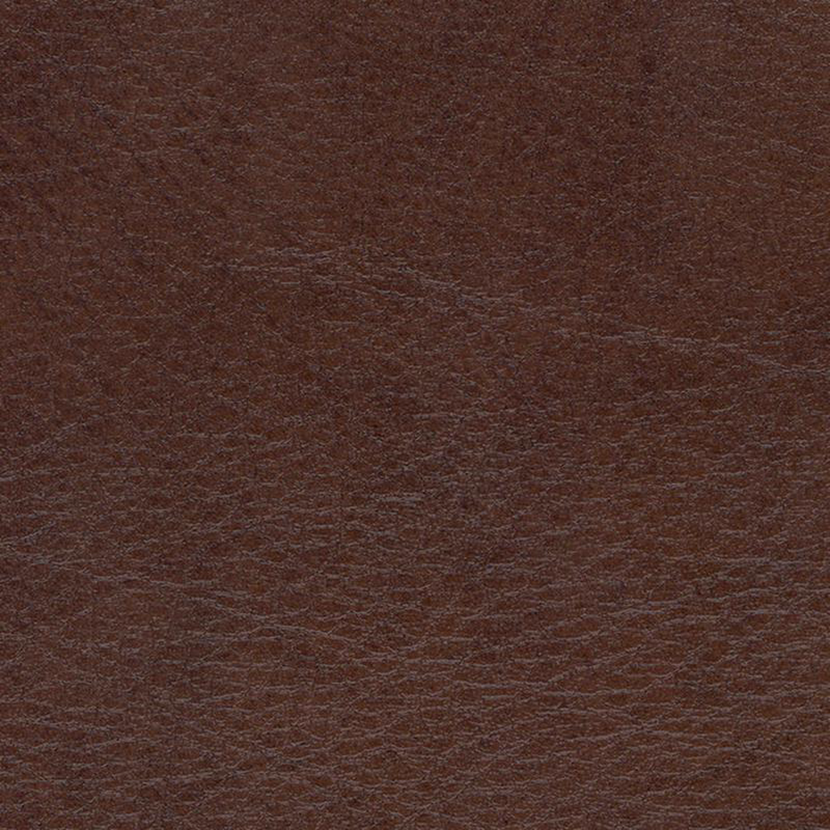 Allegro ALG 7066 Briarwood by Softside Fabric