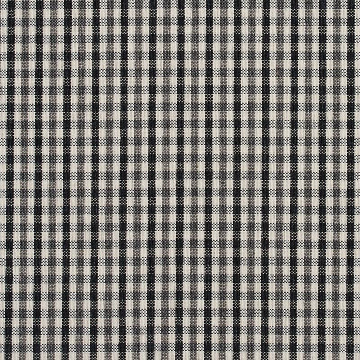 5815 Onyx Check by Charlotte Fabric