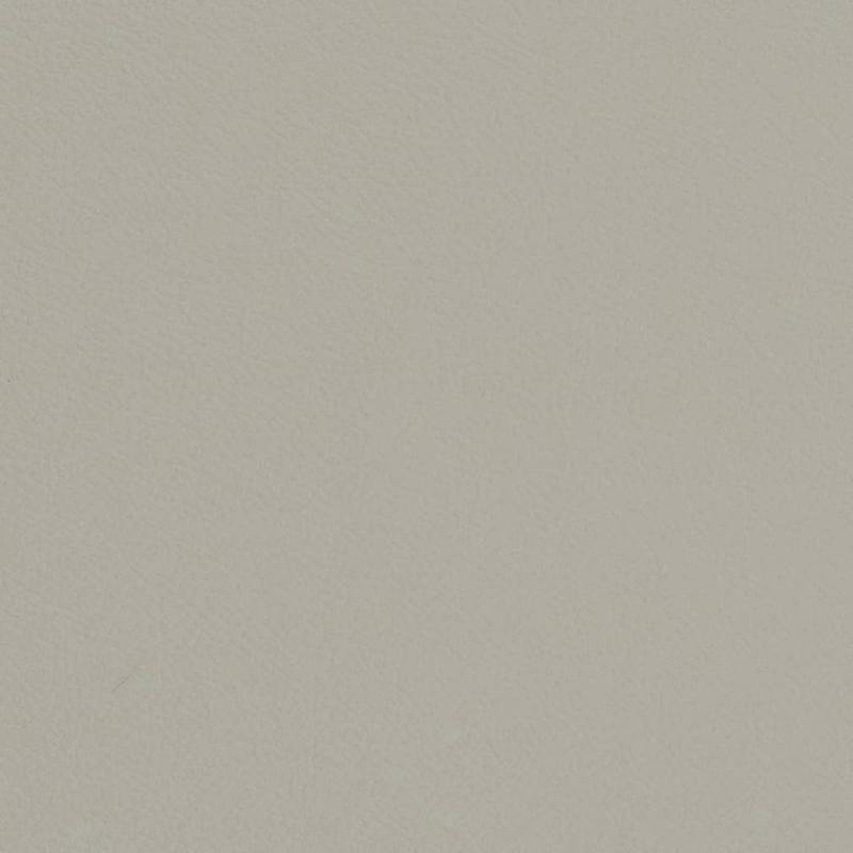 V704 Honeydew by Charlotte Fabric