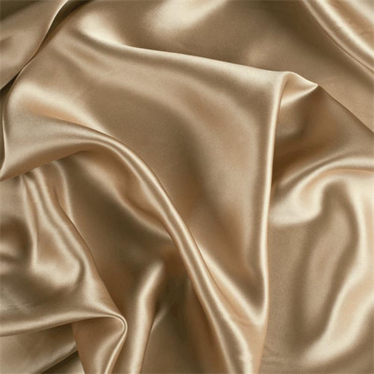 Runway Silks Camel Stretch Silk Charmeuse Fabric 8211 Reorderable
