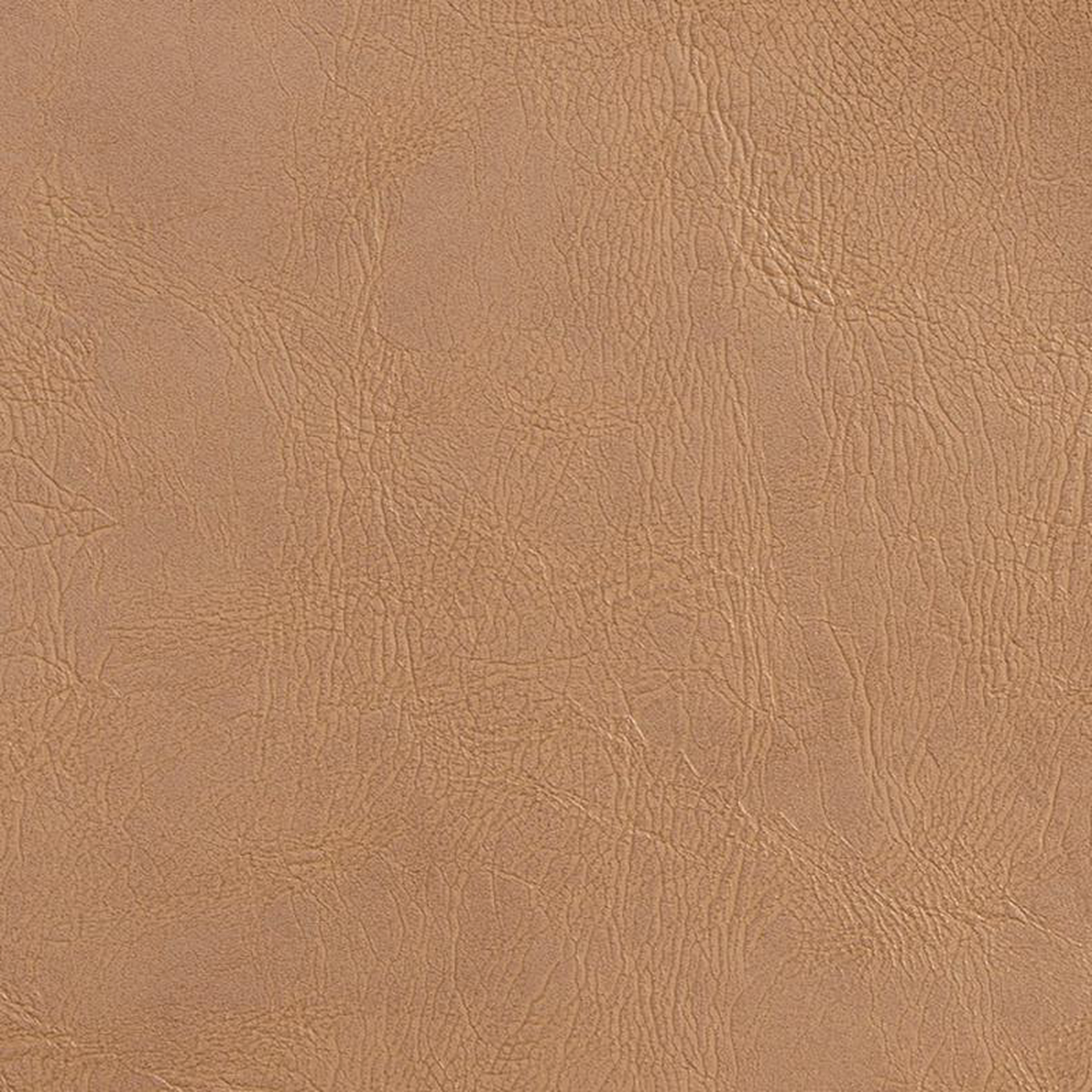 7071 Tan by Charlotte Fabric