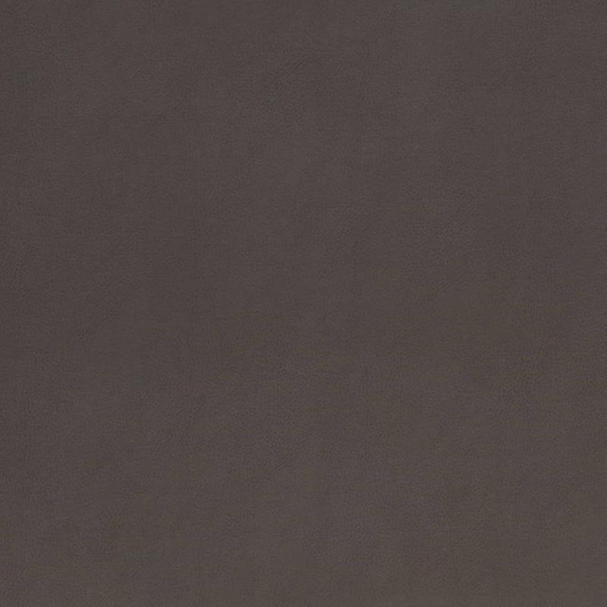 V867 Onyx by Charlotte Fabric