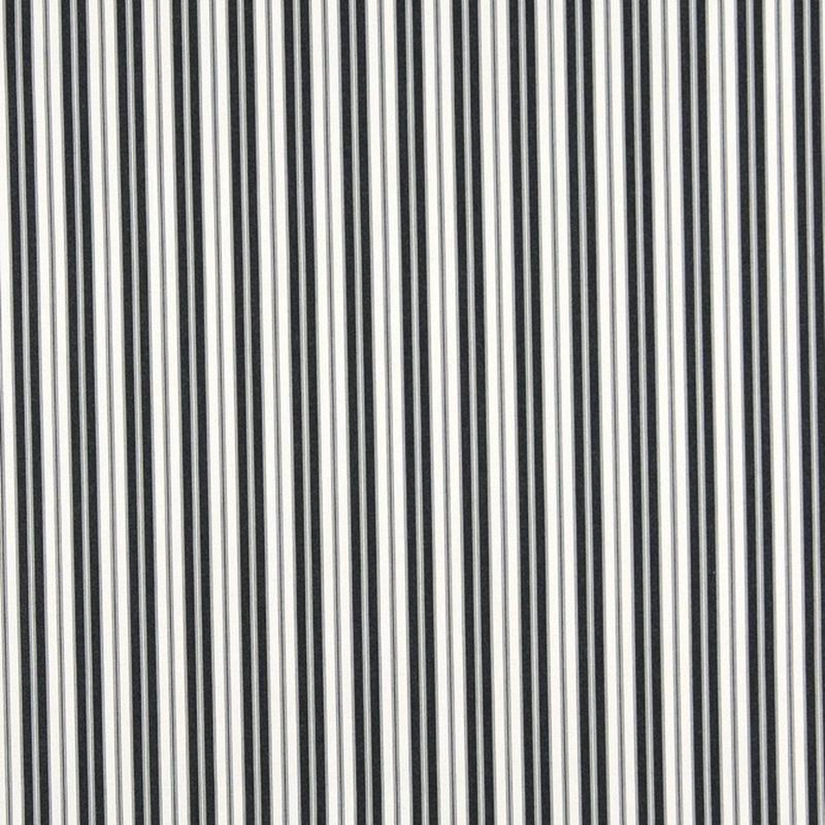 2467 Midnight Classic by Charlotte Fabric
