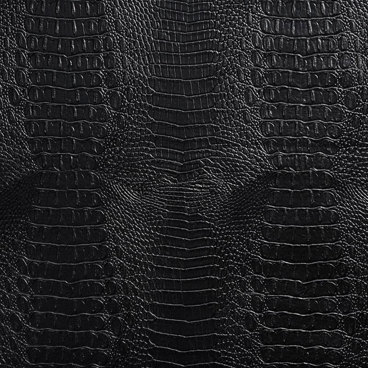 7279 Black by Charlotte Fabric