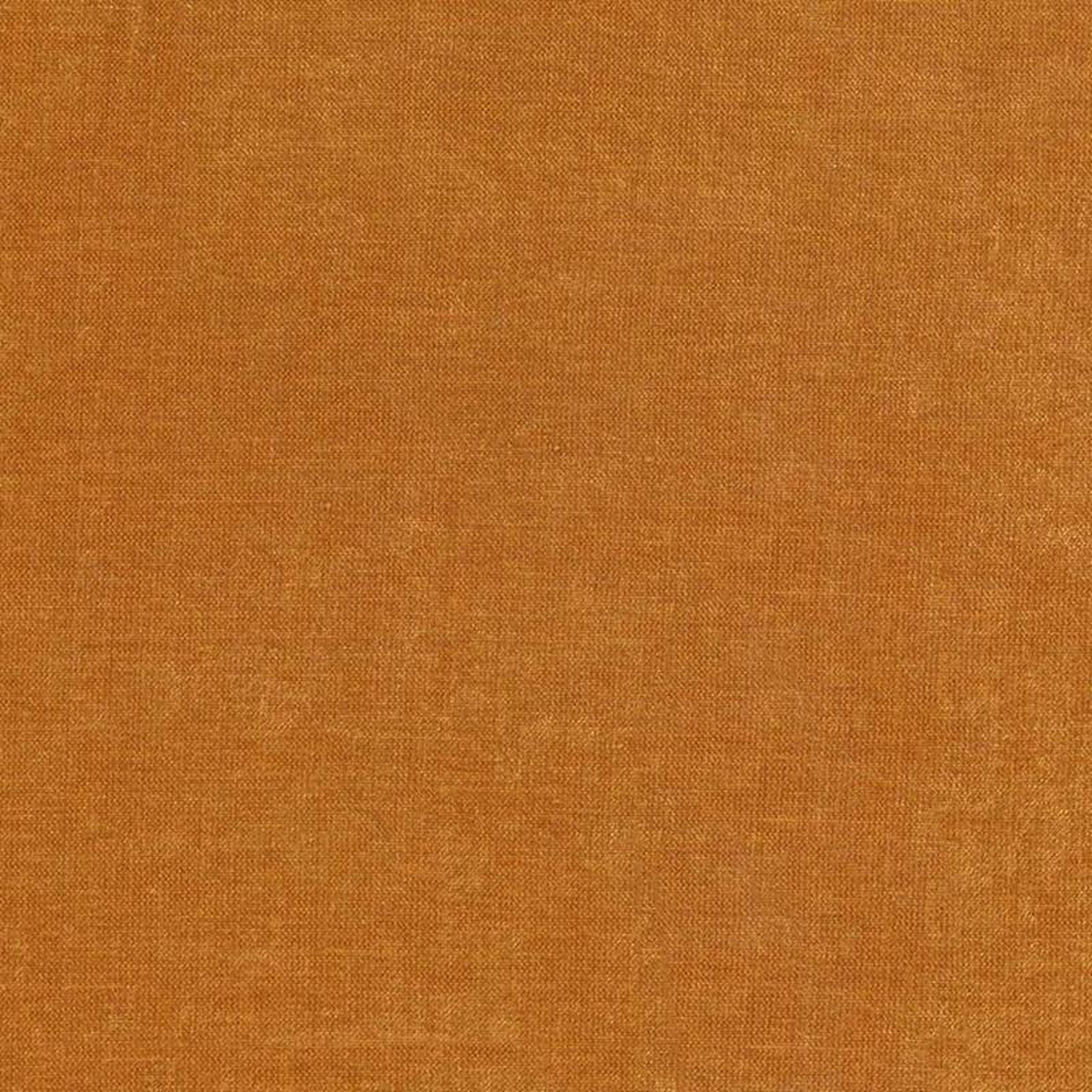 Vestige Carrot by Kasmir Fabric