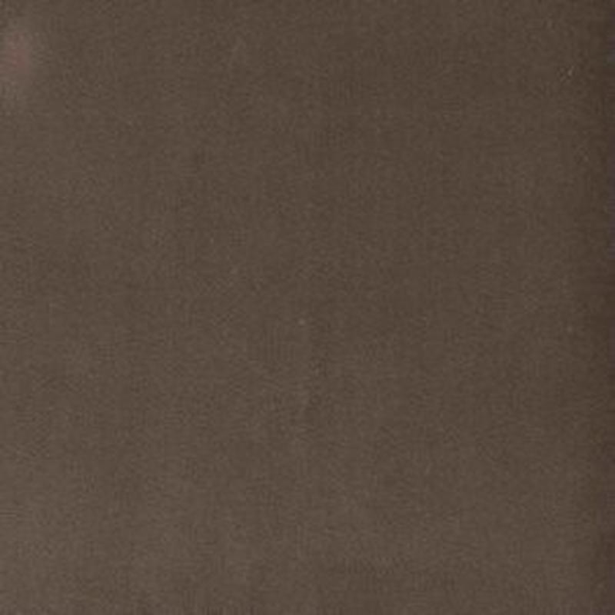 Trophy Sepia 841 by Norbar Fabric