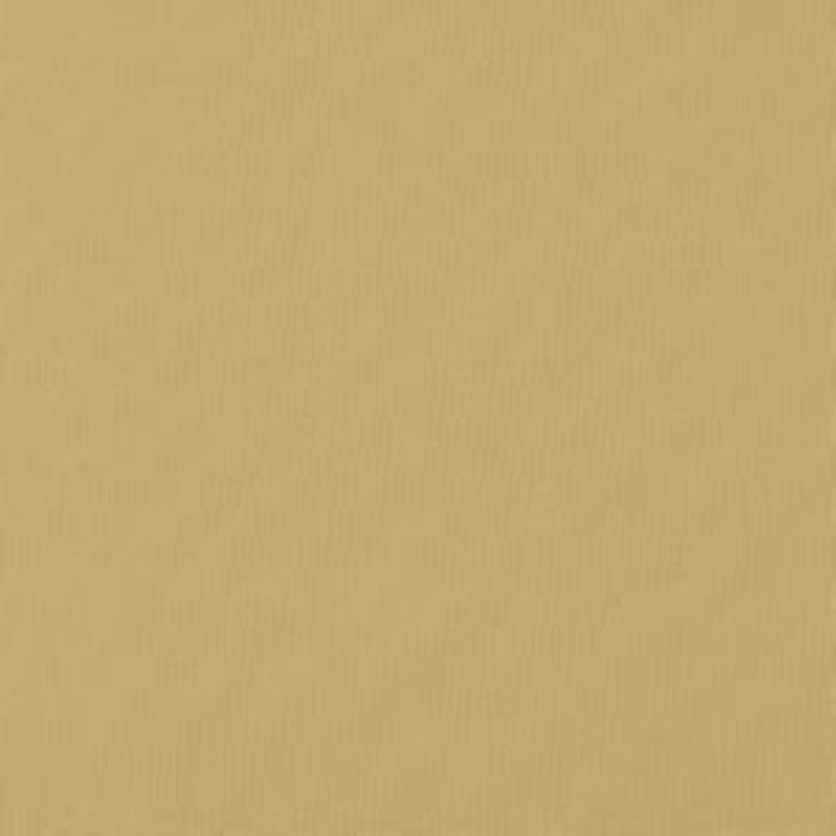 Zolic Ecru 112 by Norbar Fabric