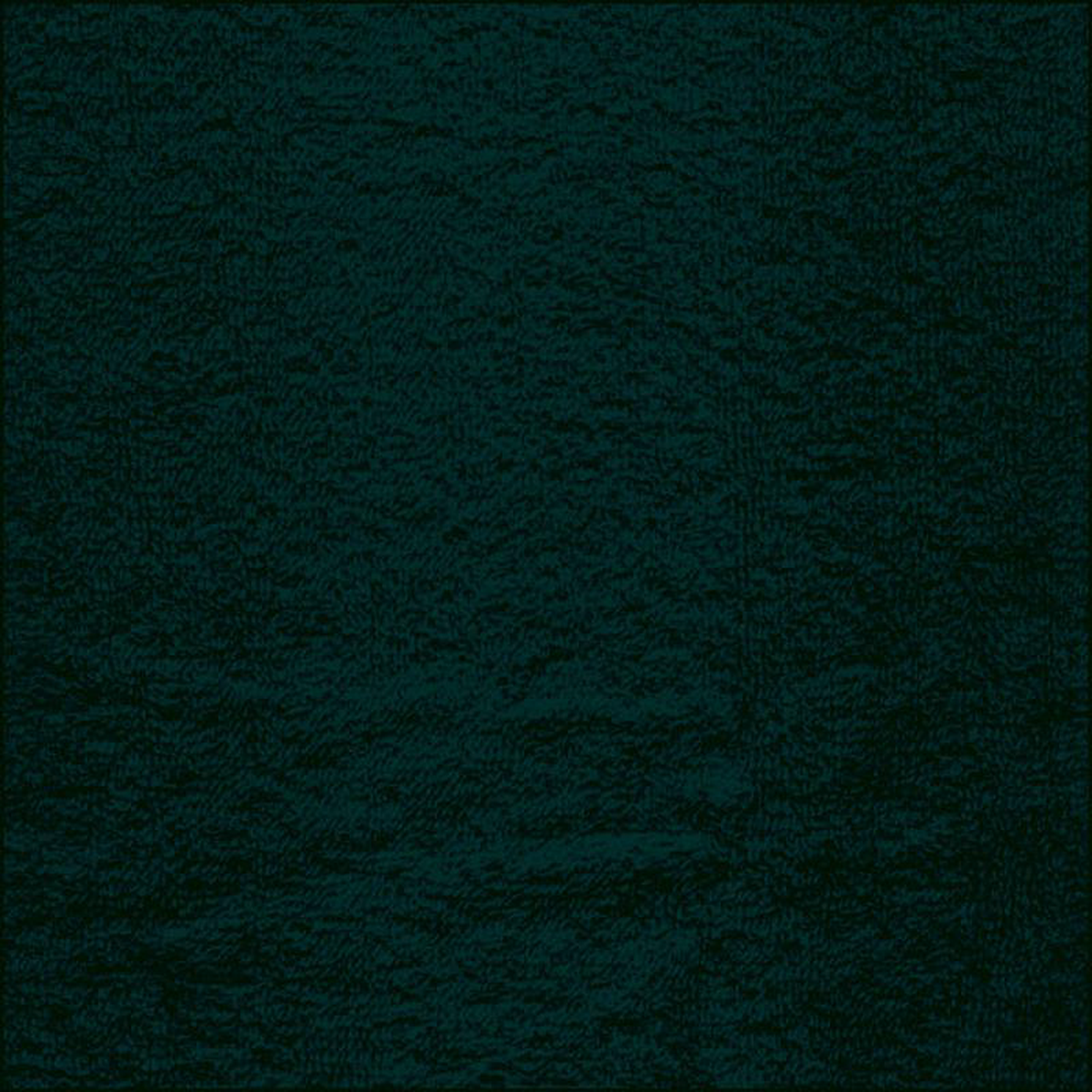 10 YD Bolt-Forest Terry Velour Fabric
